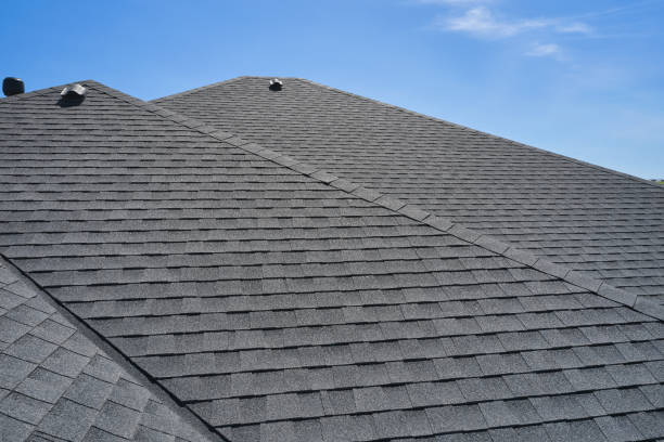 Best Roof Waterproofing  in USA